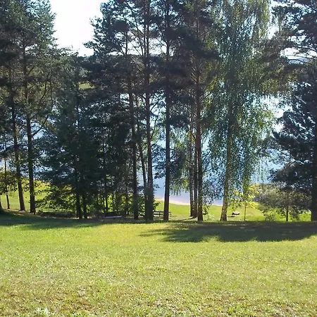 Viskezers * Viski